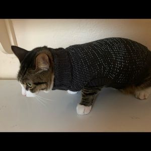 Dark Gray Cat Sweater
